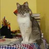 Отзыв от Альфия Золотова
